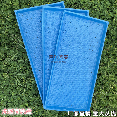 新款9寸水稻育秧盘透气平盘营养种植塑料育苗盘9寸7寸机插软盘