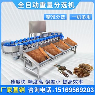 商用火龙果称重分拣机 橙子红薯玉米重量分选设备果蔬鱼类分级机