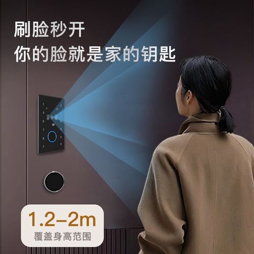 鸿利C系列全自动人脸识别猫眼嵌入式智能锁别墅入户门锁密码锁