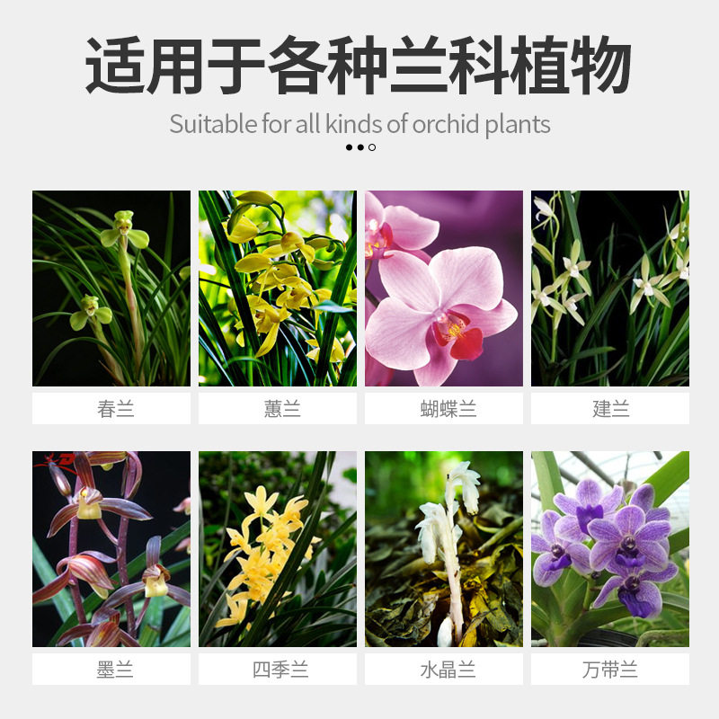新疆包邮兰灵王兰花专用肥料营养液兰科促花生长菌群君子兰蝴蝶兰