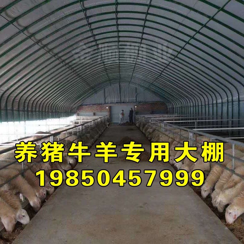 养殖大棚骨架钢管牛棚羊圈猪舍鹅兔养鸡场椭圆管温室蔬菜大棚全,农机/农具/农膜,温室大棚支架,淘宝优惠券,粉丝福利购,淘宝优惠卷