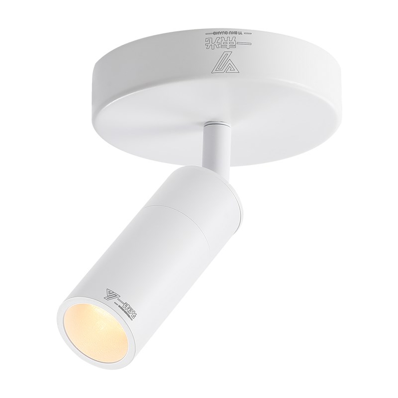 一束光聚光射灯智能明装客厅家用茶室摆件绿植字画餐厅玄关吸顶灯