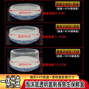 圆形小号24CM鱼生一体多层透明盖泡沫底刺身三文鱼保鲜外卖打包盒