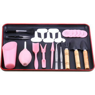 多肉工具套装 组合家用专用种植养殖浇水栽培镊子小园艺三件套