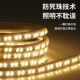 高压220v超亮户外防水亮化工程灯带led灯条双排客厅吊顶装 饰照明