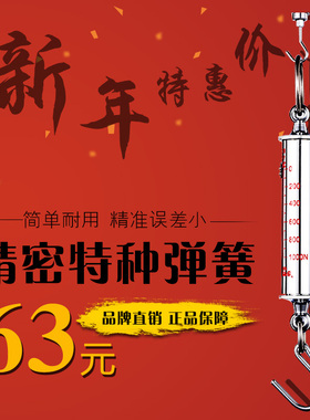 双杰弹簧测力计/不锈钢拉力计拉力棒/管形测力计/牛顿拉力机LTZ