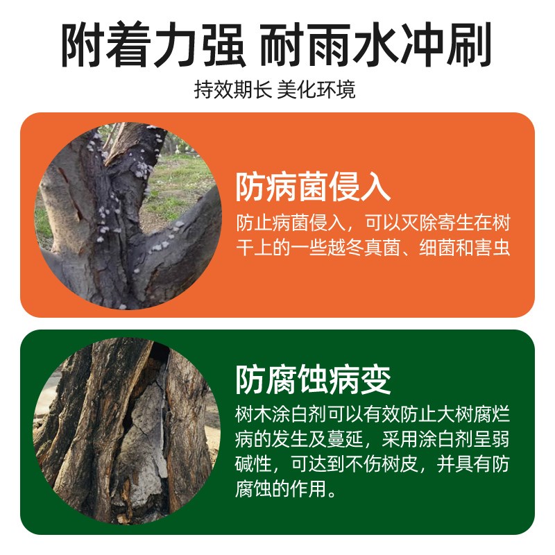 果树涂白剂树干树木防虫型防冻大树盆景刷白防寒霜冻抗病