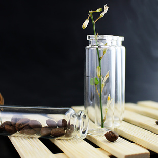 只空瓶子水培绿萝装饰玻璃瓶观察容器小新吊瓶带塞