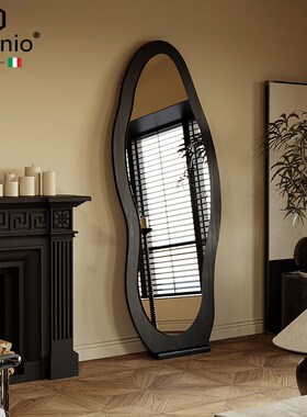 onio意大利设计师异形穿衣镜全身镜异形卧室玄关挂墙落地镜子