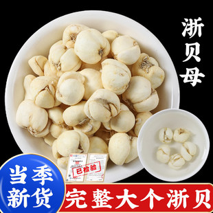 【农家新货】500克浙贝母中药材正品官方旗舰店的功效浙贝大贝母