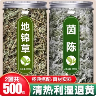 地锦草茵陈茶中药材正品官方旗舰店新鲜野生白蒿泡水的功效与作用