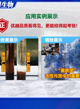 污水处理菌剂活性污泥生物促生剂营养剂加速菌种繁殖恢复生化系统