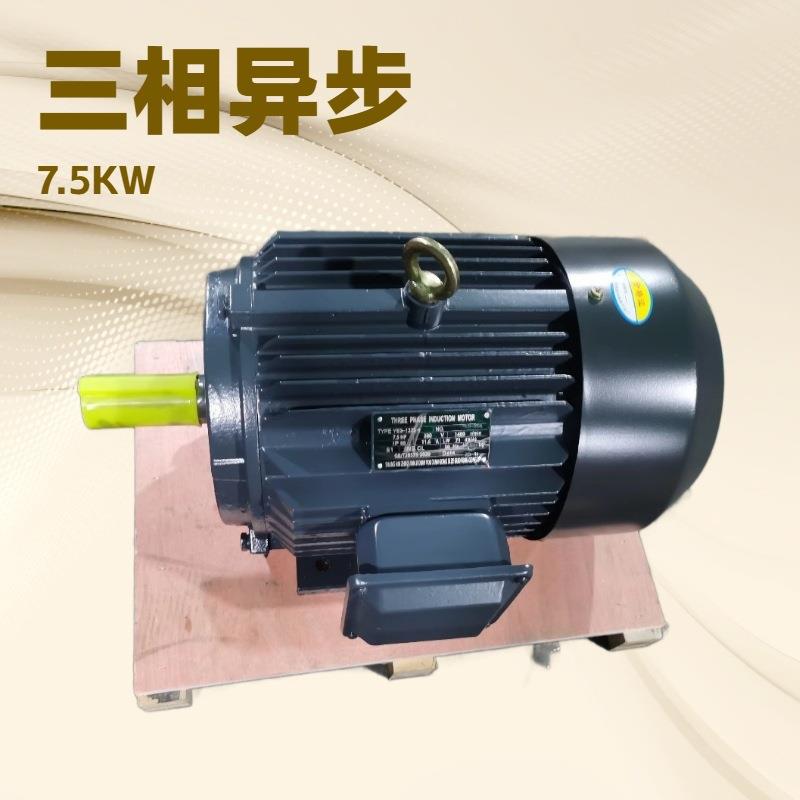 YE2YE4Y2YYE3-132S-6-3.0W6极三相电机三相异步电动机电机