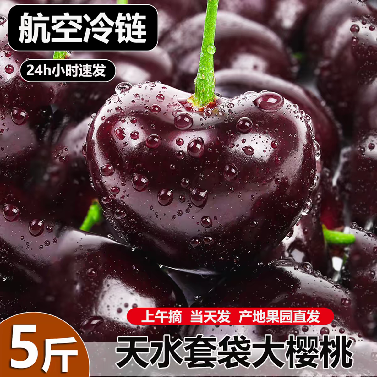 【京东顺丰冷链空运】沙王甘肃天水套袋国产车厘子孕果秦州大樱桃