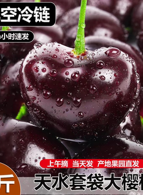 【京东顺丰冷链空运】精品甘肃天水套袋国产车厘子孕果秦州大樱桃