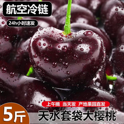 【京东顺丰冷链空运】沙王甘肃天水套袋国产车厘子孕果秦州大樱桃