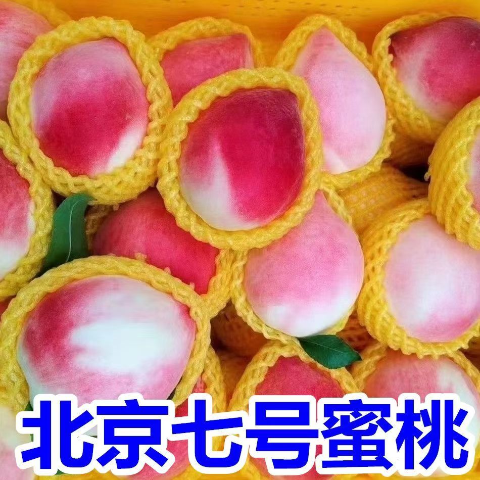 甘肃天水秦安水蜜桃现摘新鲜