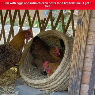 下蛋鸡窝家用户外特大鸟窝宠物兔窝猫窝草窝鸡下蛋窝产蛋草编母鸡