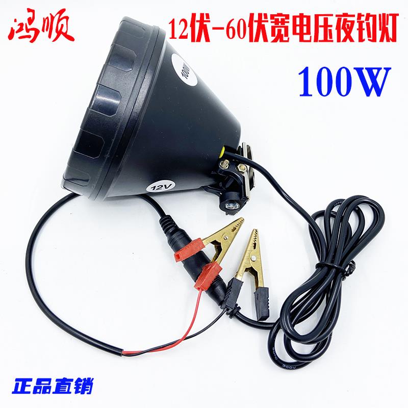 宽电压12V24伏36伏48伏60伏100W蓝光钓鱼夜钓灯头白光黄光LED