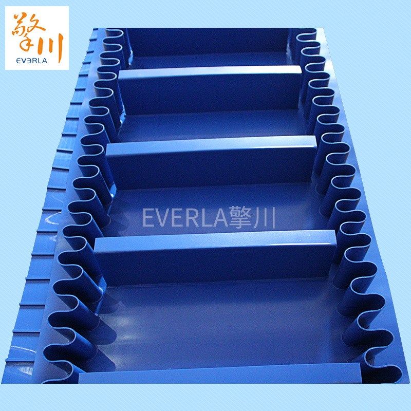 厂家直供PU蓝色食品级输送带耐油易洗传送带肉类海鲜输送带易洁带,标准件/零部件/工业耗材,输送带/传送带,淘宝优惠券,粉丝福利购,淘宝优惠卷