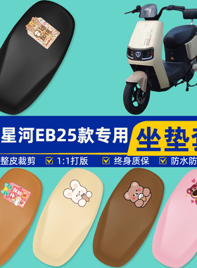台铃星河EB25款电瓶车电动车座套坐垫套坐套罩防水防晒改装饰配件