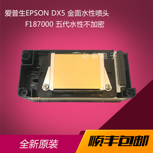 全新爱普生五代DX5喷头打印头F187000金面水性喷头户写真机