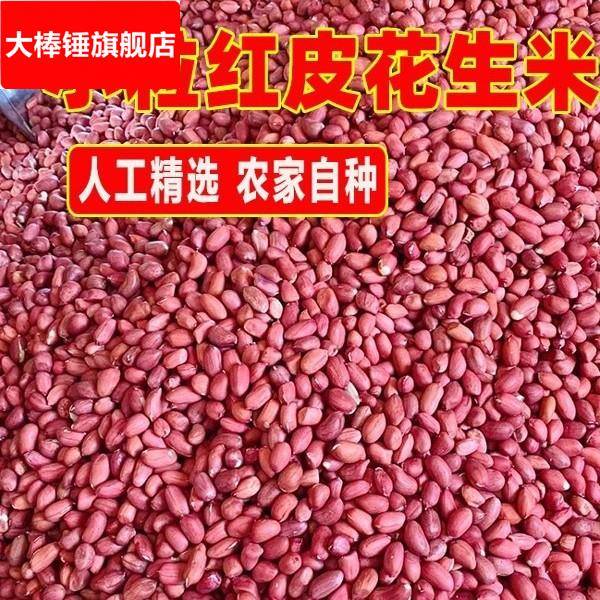 小红花生云南红皮花生米去壳红衣花生米生花生农家自种小粒红花生