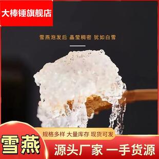 拉丝雪燕刺苹婆树分泌胶植物胶原龙须桃胶滋补品原材料雪燕