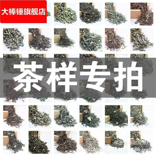 广西芸鼎茶业茉莉花茶横县核心产地茶厂茶叶中高低试喝样10g