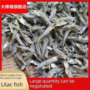 干小鱼块500g干白鱼瓣鱼子酱海鱼块干货润宁江湖街档海燕鱼干