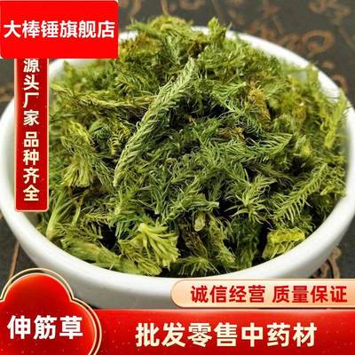 伸筋草伸筋骨草粉农产品 粉舒筋草 石松草大伸筋草狮子尾泡茶泡酒