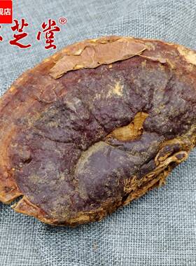 海南农户自采 红灵芝 无柄赤芝平盖林中芝丹芝零售直销非种植