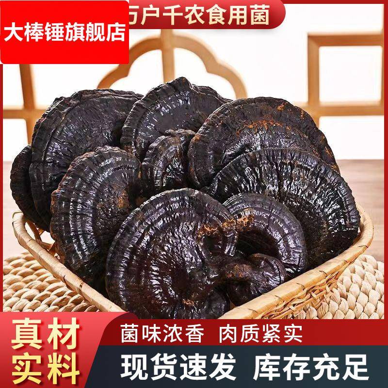 灵芝山东纯黑灵芝泡酒紫林芝整枝可煲汤切片茶