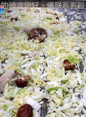 段菜 碎菜清洗作业生姜菜线土豆 条清洗旋流+气泡菠双重洁RHM净清