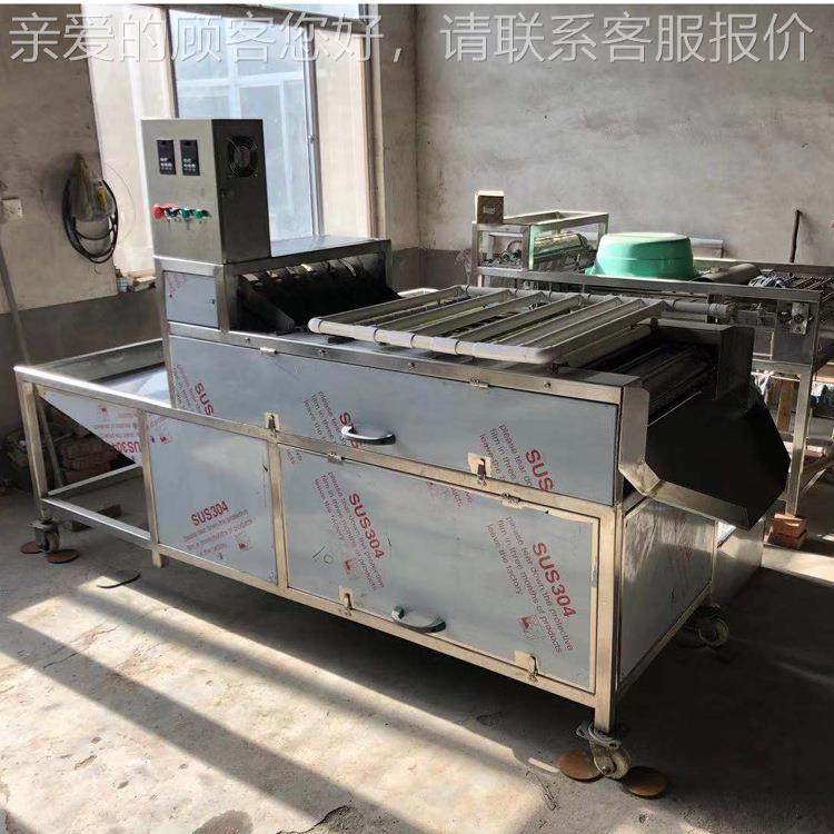 整套清卤蛋生产加工线 鹑蛋去皮机鹌 鹌鹑蛋煮krt-202洗预剥皮流,厨房电器,其他商用厨电,淘宝优惠券,粉丝福利购,淘宝优惠卷