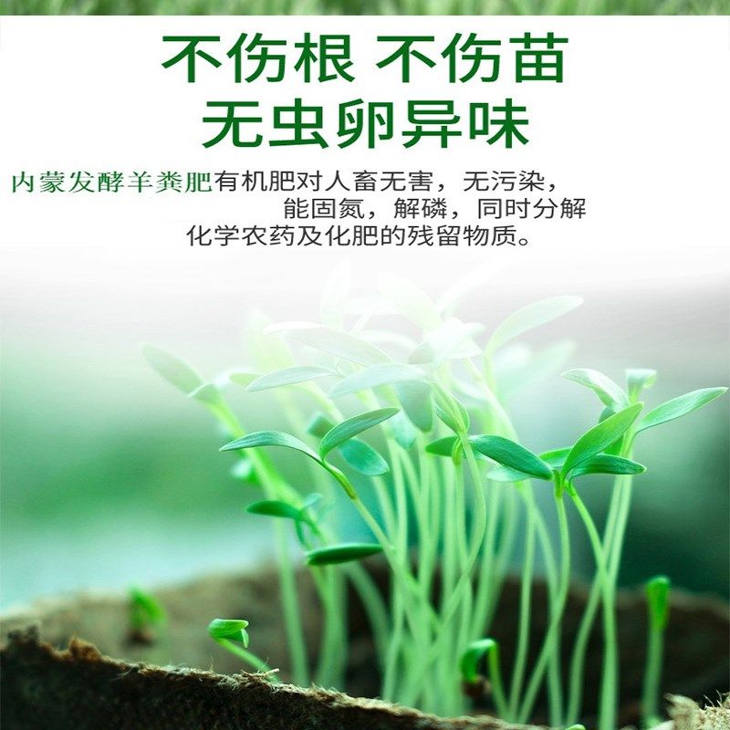 内蒙羊粪发酵有机肥无异味生物纯羊粪有机肥料蔬菜养花肥园艺肥料,鲜花速递/花卉仿真/绿植园艺,家庭园艺肥料,淘宝优惠券,粉丝福利购,淘宝优惠卷