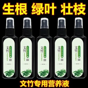 猛爆芽】新款文竹营养液专用肥催嫩芽促绿叶专治发黄干尖枯瘦烂根