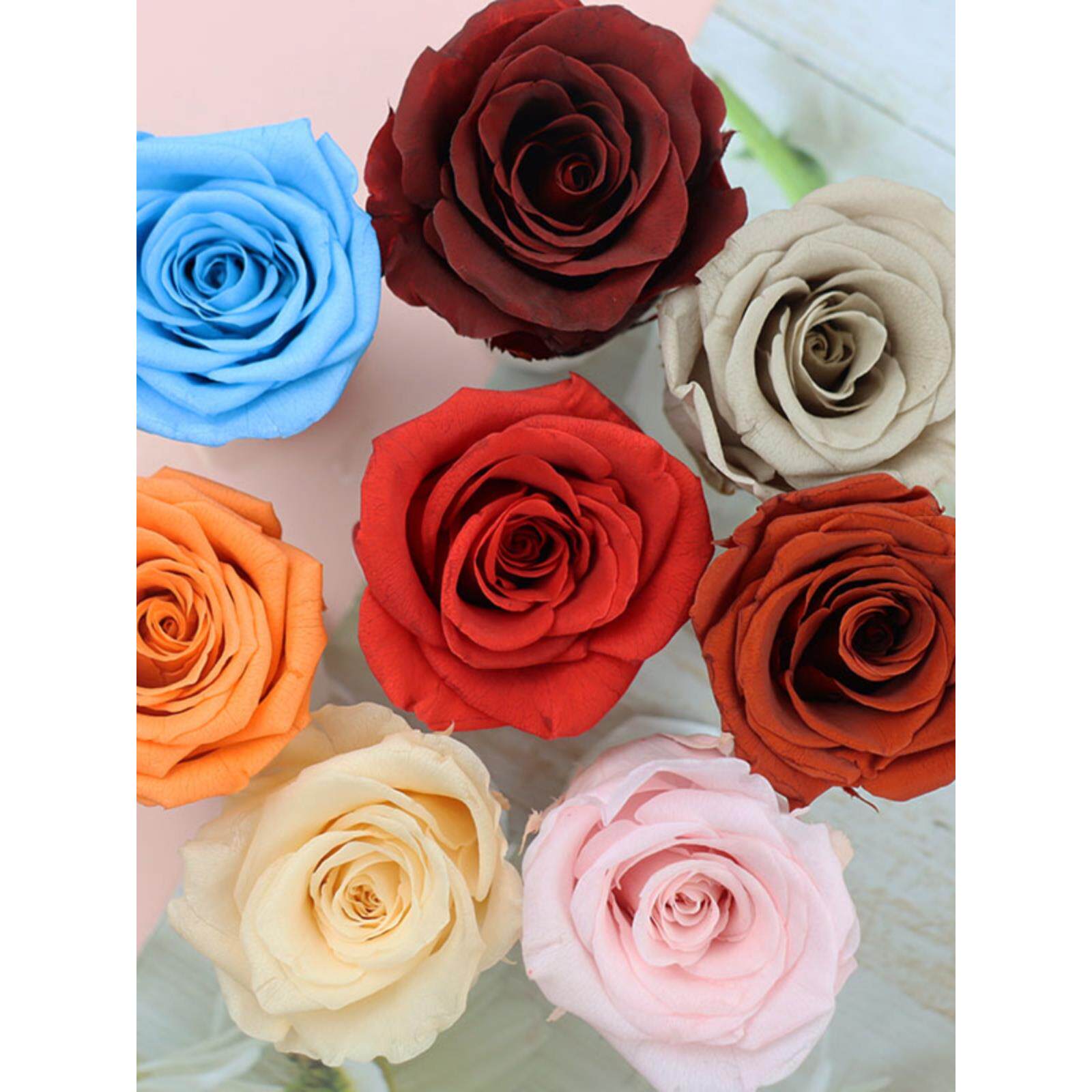 保存花4cm真花Diy520婚礼教师节礼盒手工玫瑰中国情人节忏悔生日