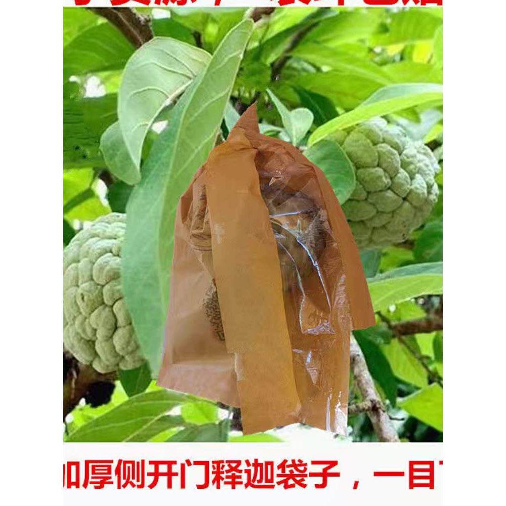 莲雾套袋专用袋洋浦桃日光袋荔枝龙眼防水袋防虫半透明套袋侧开窗
