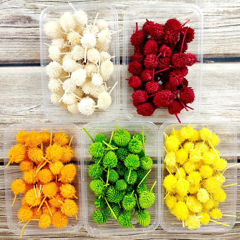 干花草莓果花头永生和尚头果实DIY永生花相框配果INS风苔藓画配花