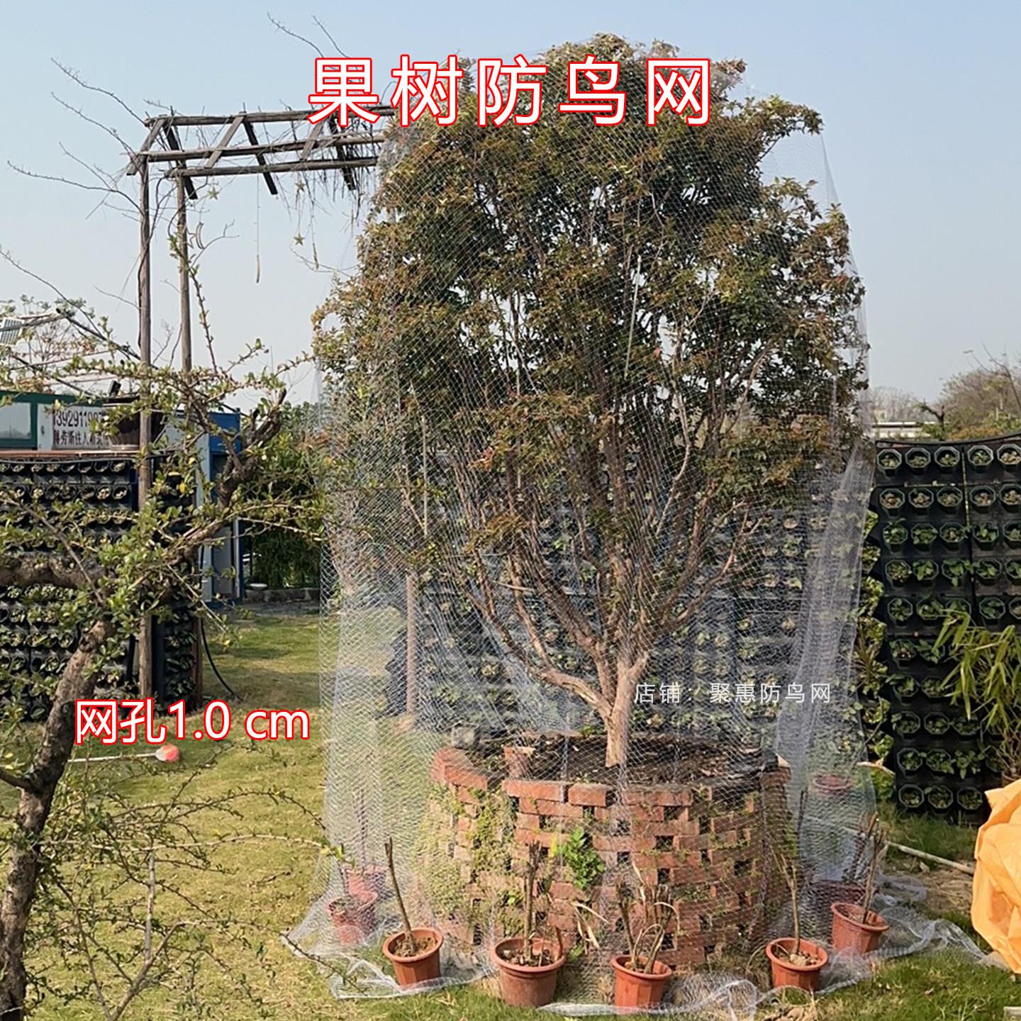 果树防护网罩小孔农用尼龙丝网果园网嘉宝果防鸟菜地桃树网子葡萄