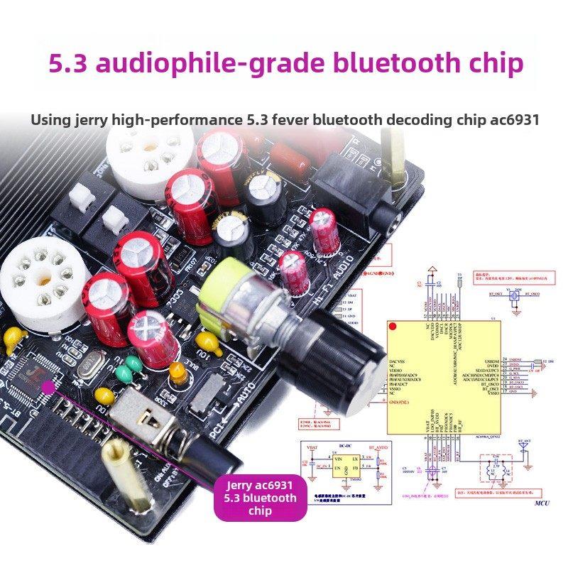 特价出口丹麦5.3蓝牙小功放发烧hifi胆机桌面房间电子管前级人声