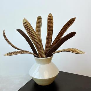 天然干枝干花豆荚果壳高级意境插花创意摆件酒店装饰侘寂风凤凰木