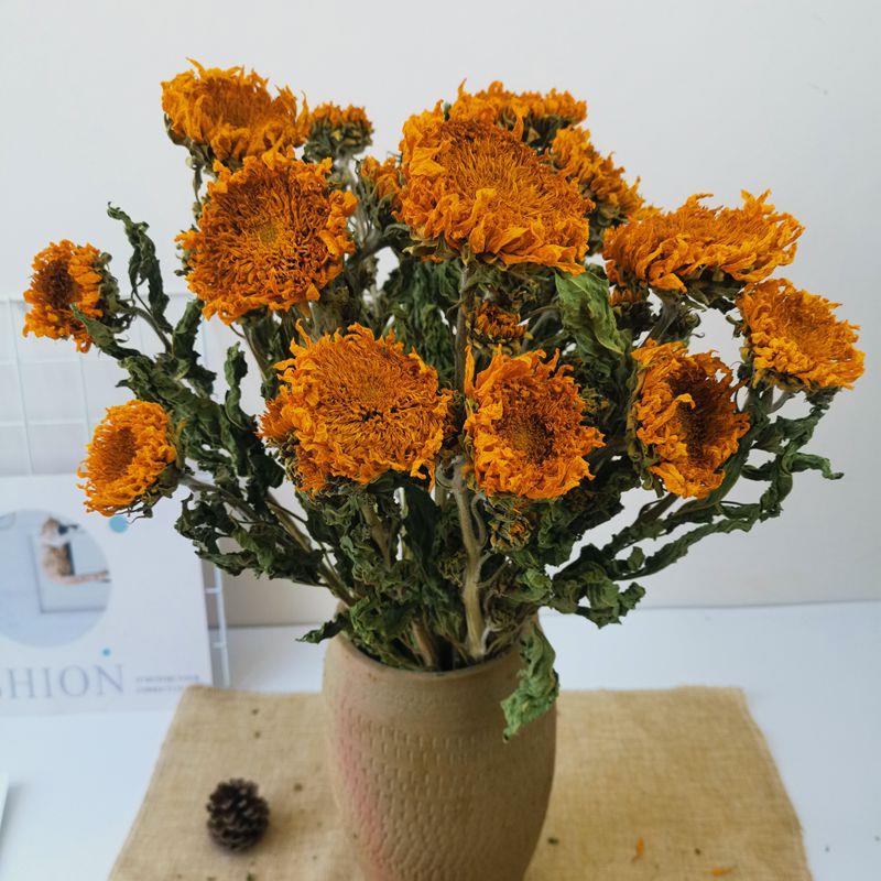 云南干花重瓣向日葵真花风干花束北欧咖啡厅家居装饰插花拍摄道具