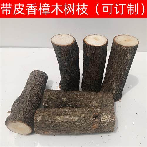 带皮香樟木树枝树干天然原木桩摆件驱虫装饰造景DIY手工木头配件