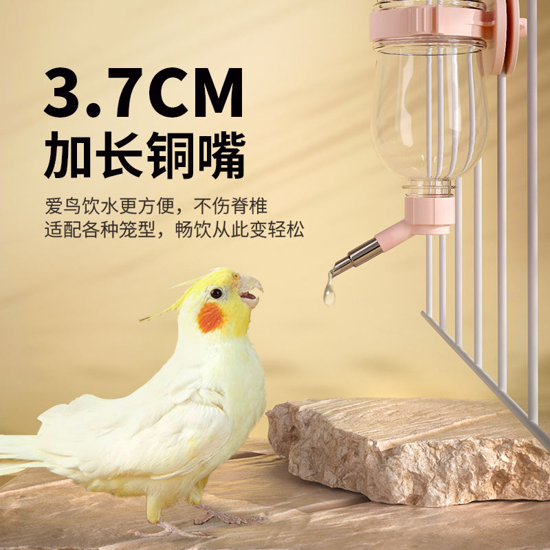 鹦鹉饮水器鸟用鸟笼自动喂水器撞针式自动大号水壶小鸟鸽喝水神器