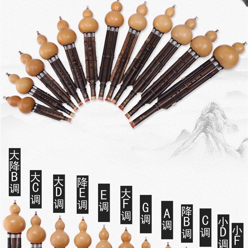 葫芦丝小学专用专业演奏传统乐器大小降b e f调大d大c调