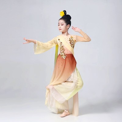 古典舞演出服女2023新款飘逸剧目寒依疏影儿童舞蹈服装艺考表演服