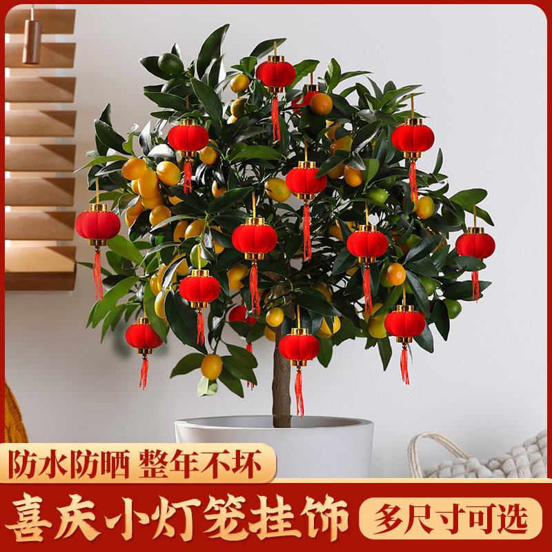 新年装饰品植绒小灯笼挂饰2022新款过年年货大红院子迷你树上挂件