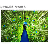 包邮 350g双面亮光喷墨厚挺防水 50张 纸130 好色彩A4高光彩喷铜版